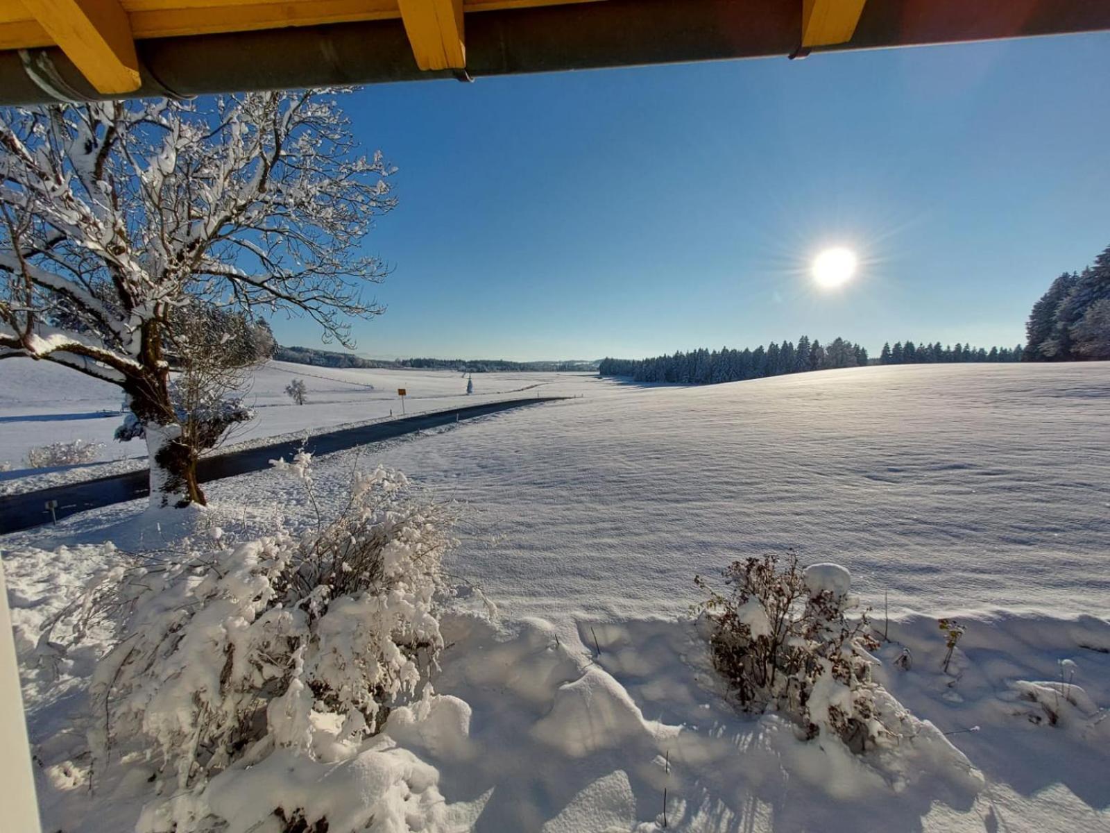Allgaeu Bergblick Leutkirch im Allgäu エクステリア 写真