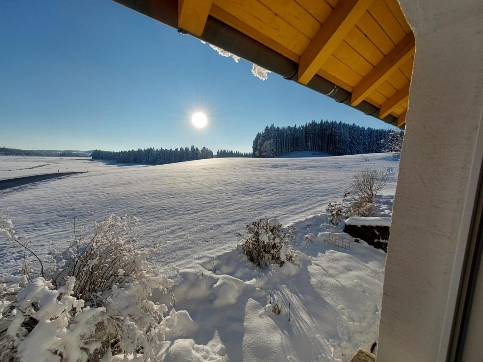 Allgaeu Bergblick Leutkirch im Allgäu エクステリア 写真