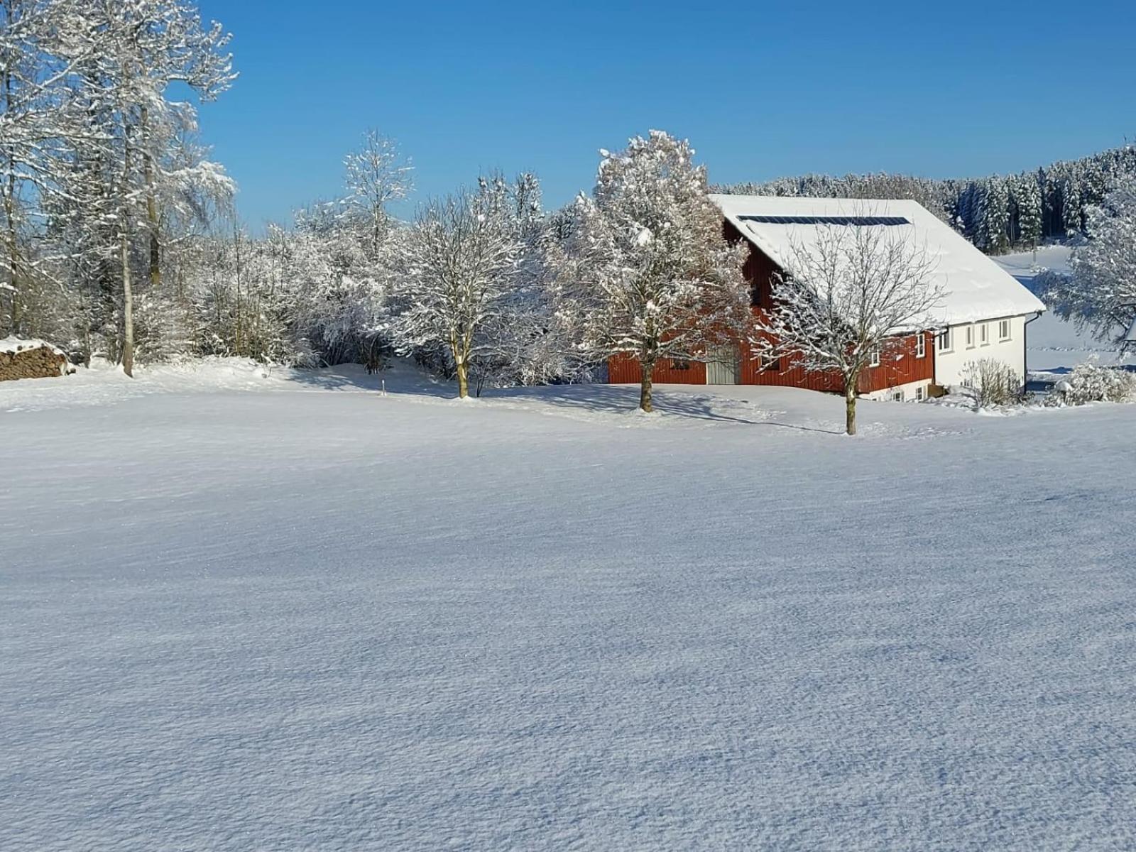 Allgaeu Bergblick Leutkirch im Allgäu エクステリア 写真